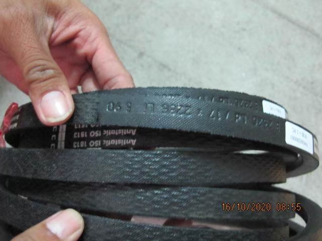 Belt Photo 14